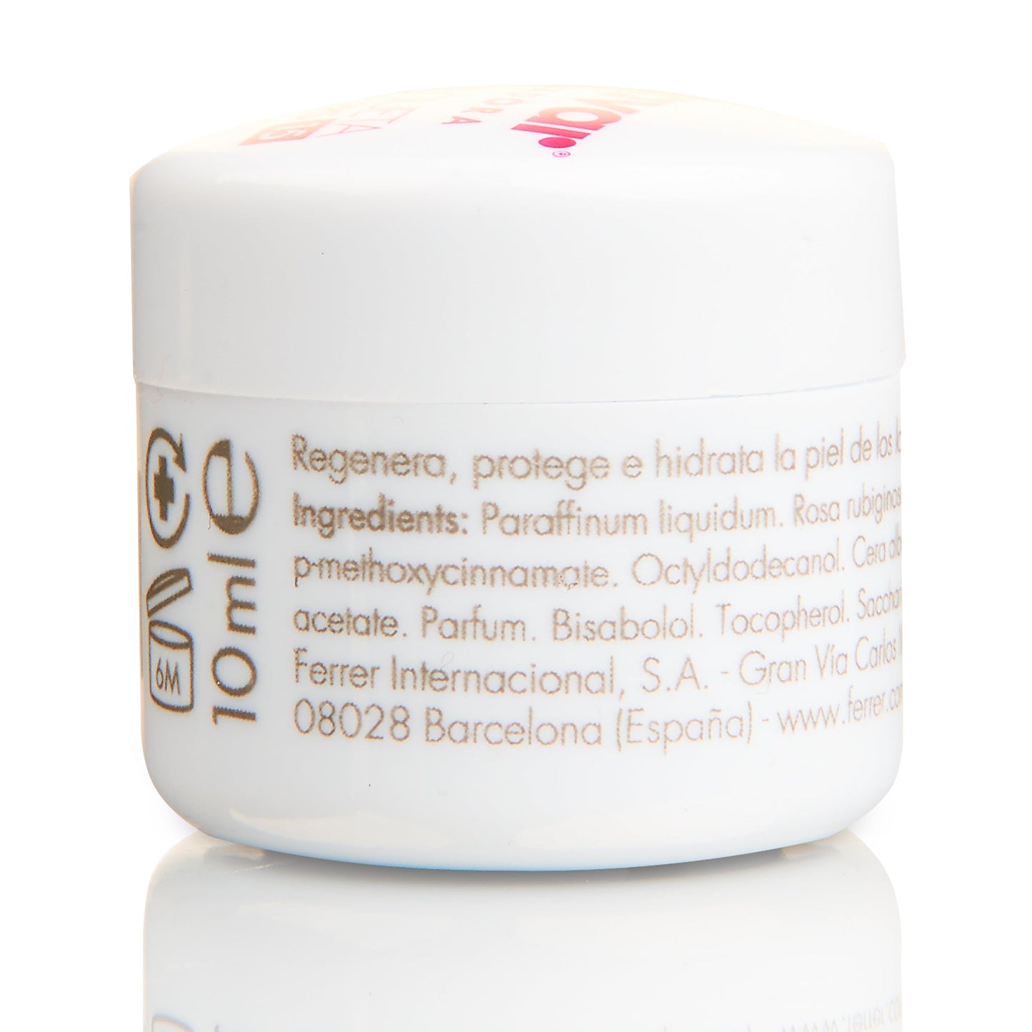 Regeneradora Bálsamo Labial con Rosa Mosqueta - Protege e Hidrata la Piel de Nariz y Labios