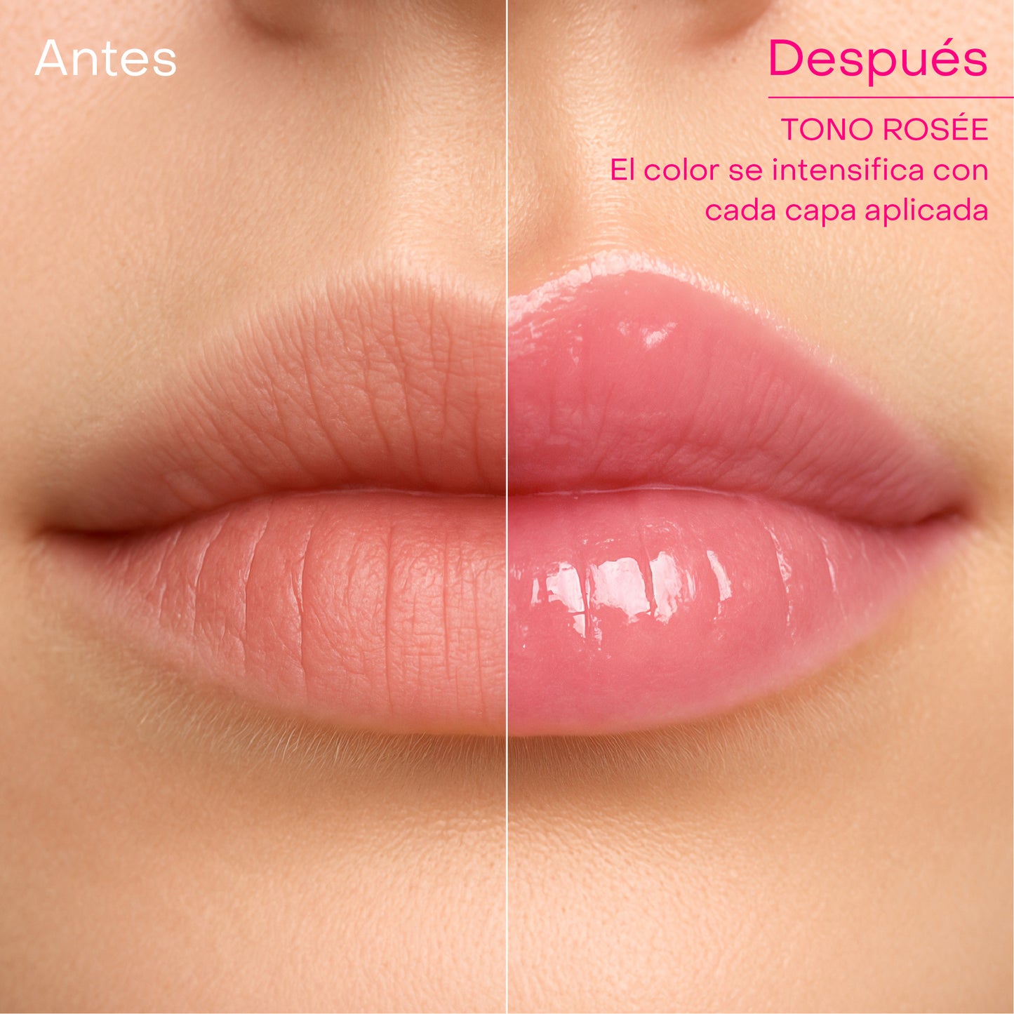 Regeneradora Lip Oil Aceite Labial con Rosa Mosqueta tono rosée - Nutre y Regenera, efecto gloss